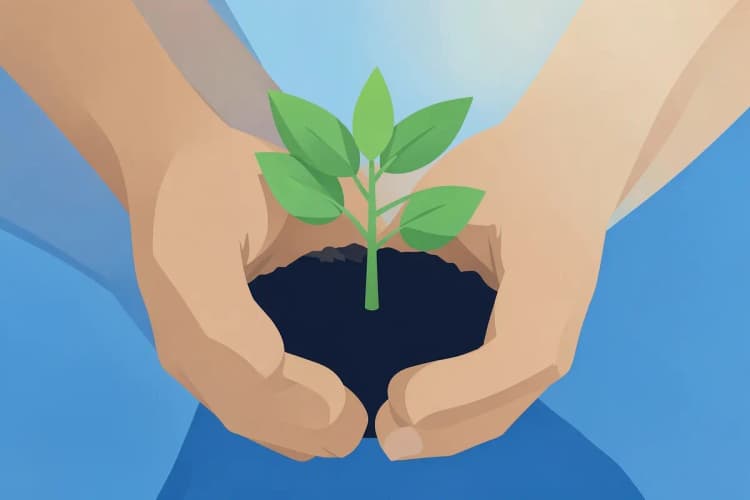 mãos segurando uma planta pequena crescendo