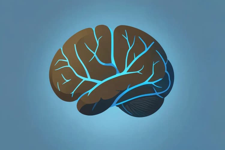 Cérebro humano com conexões neurais em destaque, representando a atividade cerebral