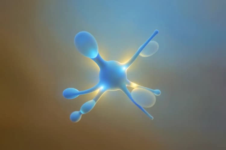 Uma representação visual de neurotransmissores no cérebro, com destaque para a serotonina.